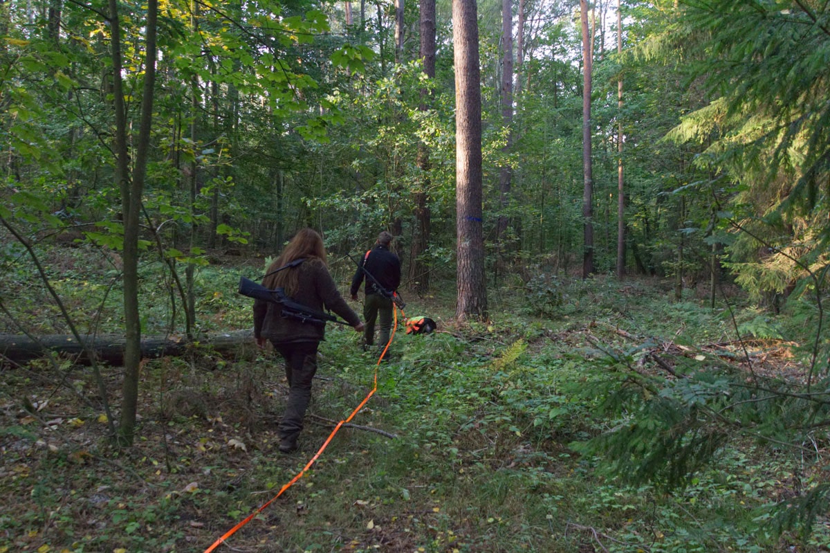 Zwei Jäger mit Hund im Wald bei der Nachsuche