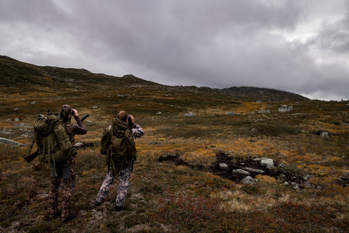 Two hunters in camouflage clothing look for reindeer with binoculars